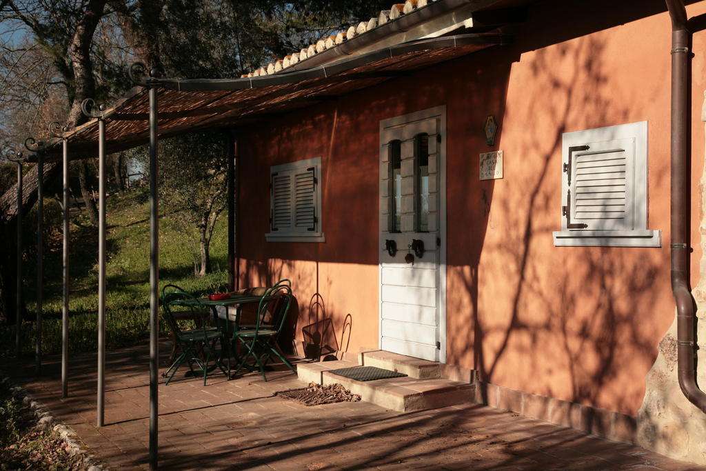 Malvarina Capodacqua  Cameră foto